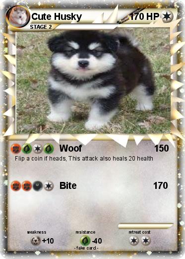Pokemon Cute Husky