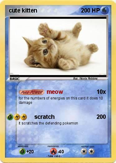 Pokemon cute kitten