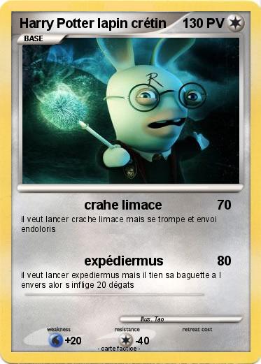 Pokemon Harry Potter lapin crétin