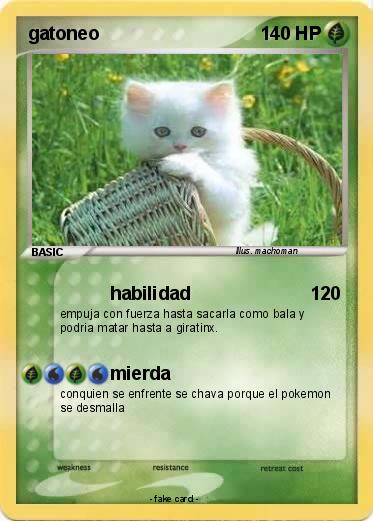 Pokemon gatoneo