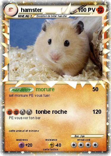 Pokemon hamster