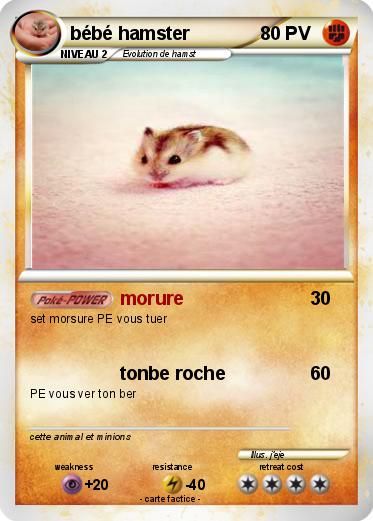 Pokemon bébé hamster