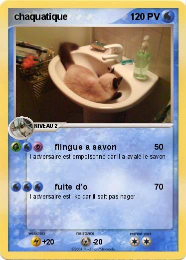 Pokemon chaquatique