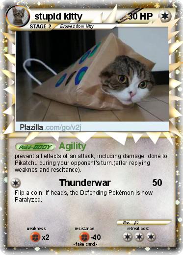 Pokemon stupid kitty