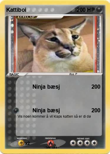 Pokemon Kattiboi