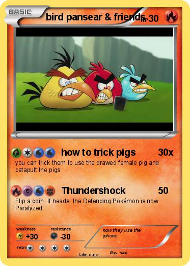 Pokemon bird pansear & friends