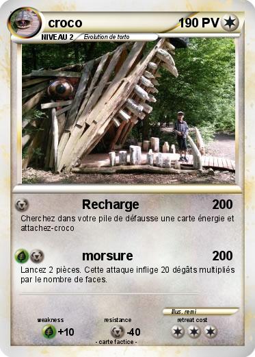 Pokemon croco
