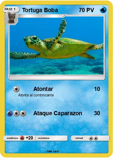 Pokemon Tortuga Boba
