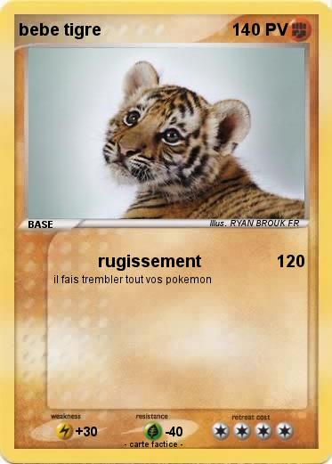 Pokemon bebe tigre