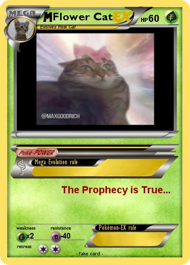 Pokemon Flower Cat