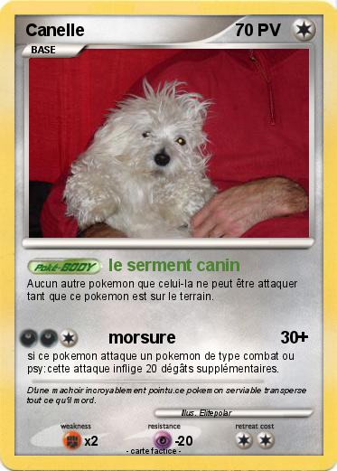 Pokemon Canelle