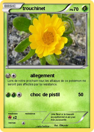 Pokemon trouchinet