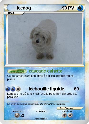 Pokemon icedog