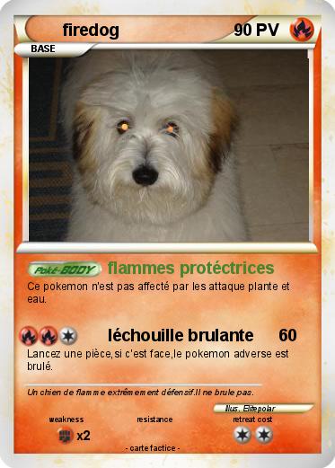 Pokemon firedog
