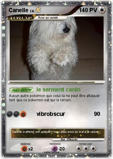 Pokemon Canelle