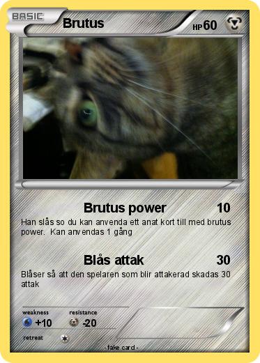 Pokemon Brutus