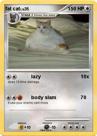 Pokemon fat cat