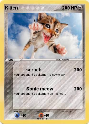 Pokemon Kitten