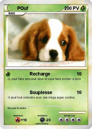 Pokemon POuf
