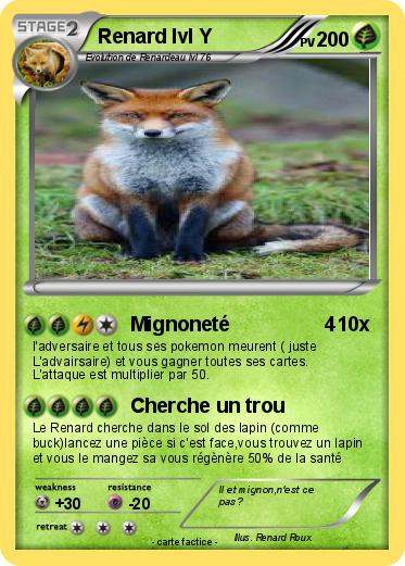 Pokemon Renard lvl Y