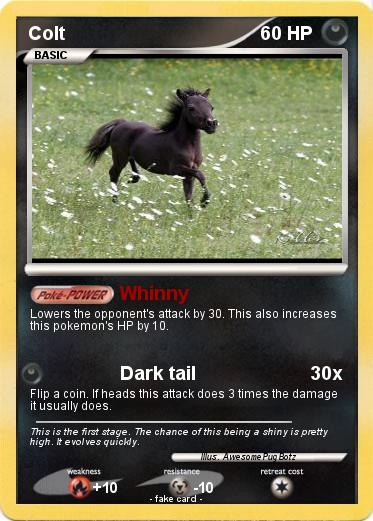 Pokemon Colt