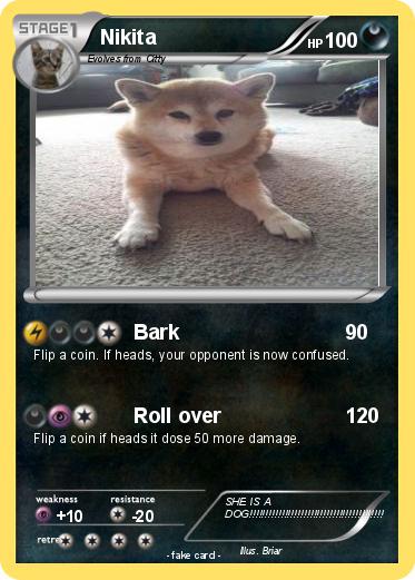 Pokemon Nikita