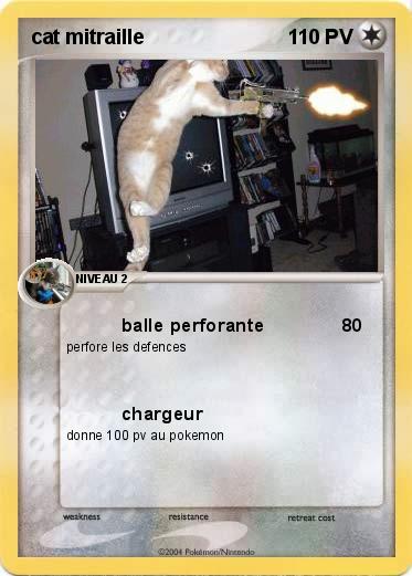 Pokemon cat mitraille