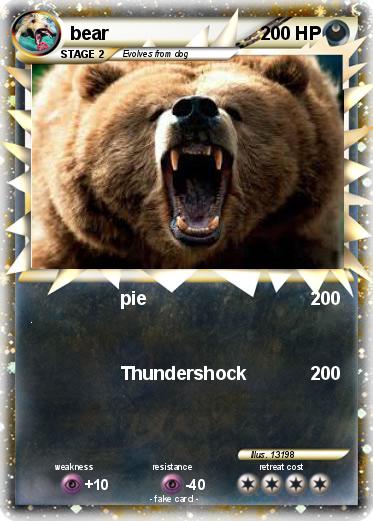 Pokemon bear