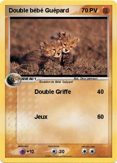 Pokemon Double bébé Guépard
