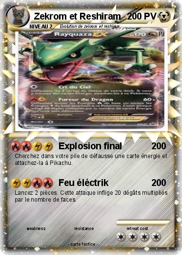 Pokemon Zekrom et Reshiram