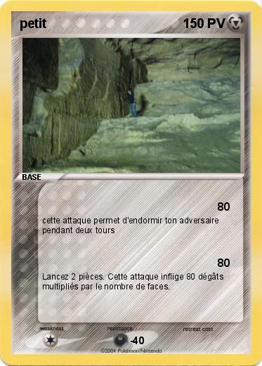 Pokemon petit