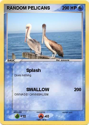 Pokemon RANDOM PELICANS