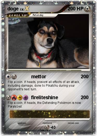 Pokemon doge