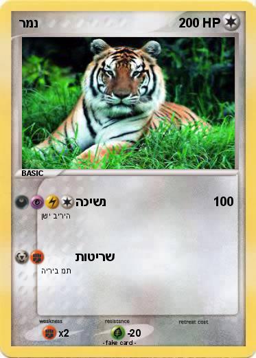 Pokemon רמנ