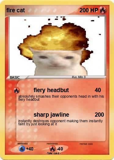 Pokemon fire cat