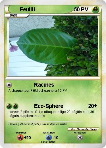 Pokemon Feuilli