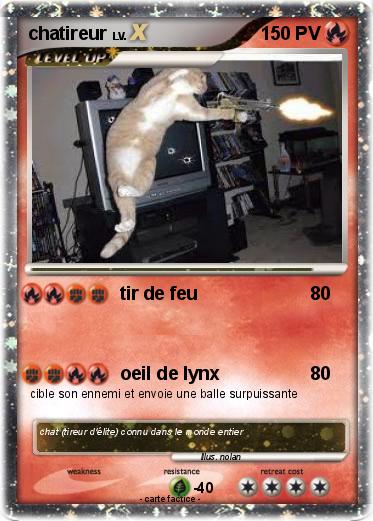 Pokemon chatireur