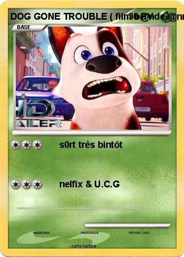 Pokemon DOG GONE TROUBLE ( film b@nde-@nnoce 2021 )