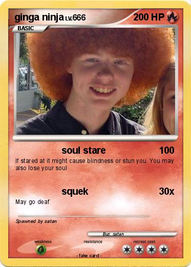 Pokemon ginga ninja