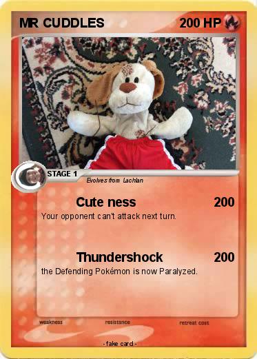 Pokemon MR CUDDLES
