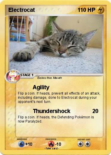 Pokemon Electrocat