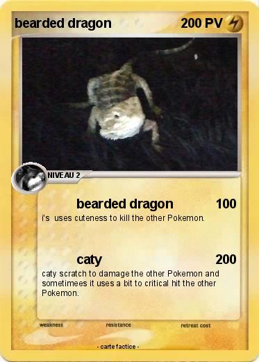 Pokemon bearded dragon