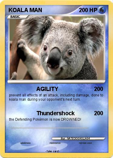 Pokemon KOALA MAN