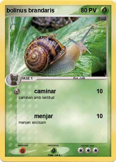 Pokemon bolinus brandaris