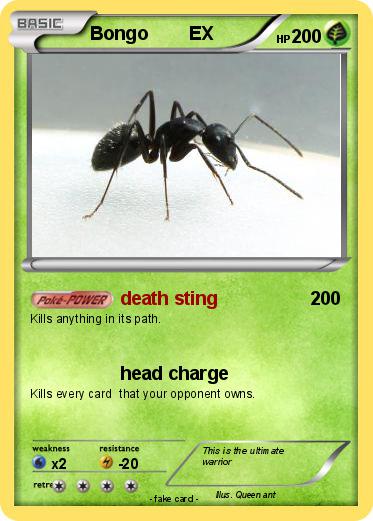 Pokemon Bongo        EX