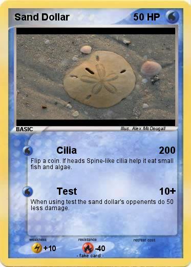 Pokemon Sand Dollar