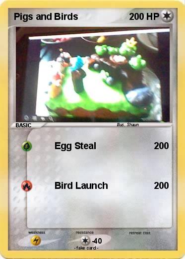 Pokemon Pigs and Birds