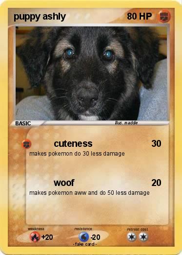 Pokemon puppy ashly