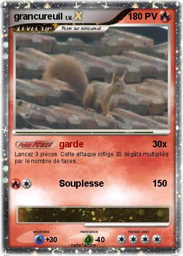 Pokemon grancureuil