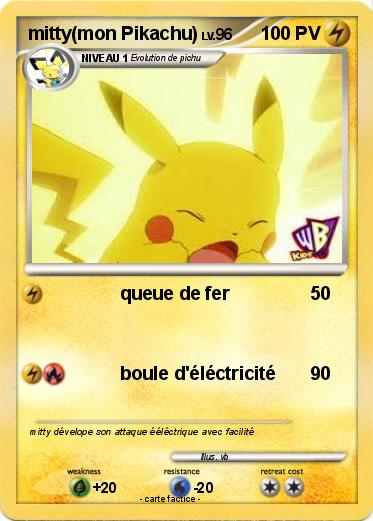 Pokemon mitty(mon Pikachu)